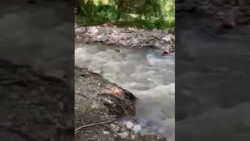 Mehriban Əliyeva Prezidentin elə bir anını çəkdi ki! Qalib Ali Baş Komandan Oxçuçay kənarında...