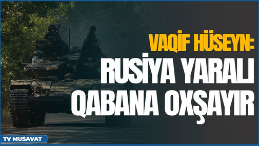 Vaqif Hüseyn: "Rusiya yaralı qabana oxşayır"