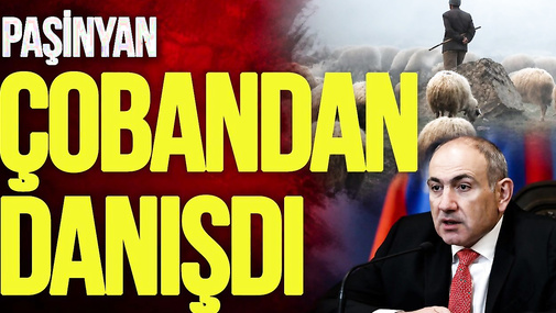 “Öldürməli idilər?” – Paşinyan azərbaycanlı çobandan danışdı və söz verdi – “Ana Xəbər”