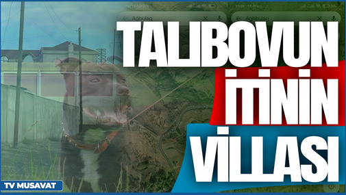 Seymur Talıbovun iti üçün tikdirdiyi villanın görüntüləri yayıldı – “Səhər Xəbər”də