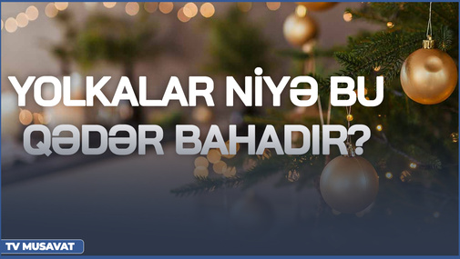 “Yolka almaq üçün gərək bankdan kredit götürüm” - yolka bazarı niyə “alışıb yanır?”