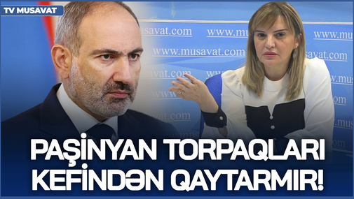 Paşinyan torpaqları kefindən qaytarmır! - S.Telmanqızı ondan "qəhrəman" düzəldənlərə səsləndi