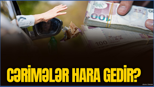 Yığılan cərimələr hara xərclənir? - Ekspertdən sərt sözlər