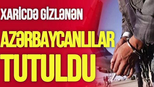 Xaricdə gizlənən azərbaycanlılar TUTULDU – biri Almaniyadan, digəri... – TV Musavat-Canlı debat